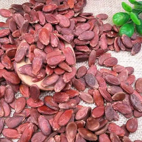 广西原味西瓜子原味红瓜子1000g颗粒饱满生西瓜籽婚宴庆典