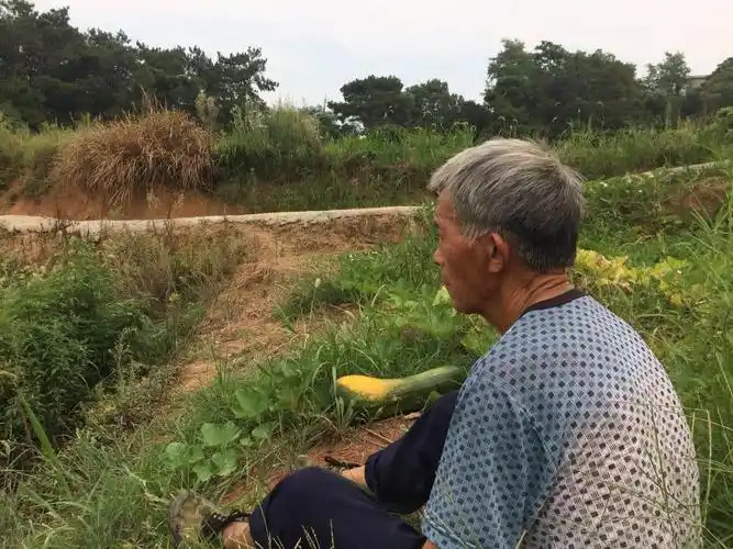 江西七旬老人现状凄凉:先后失去儿子孙女,如今孙子又病危