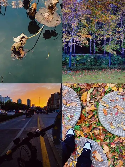 秋天公园里的角落