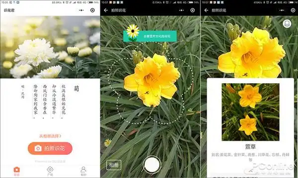 app见了都汗颜 这些强悍的微信小程序你都玩过吗