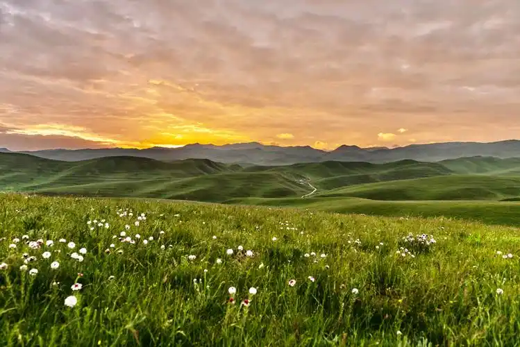 守望草原日出摄于甘南桑科草原
