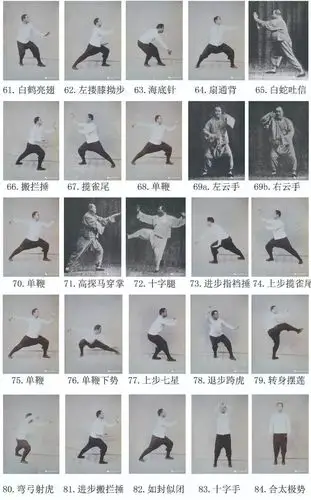 揭秘:传武宗师杨澄甫太极拳84式拳势,有些招式在武侠小说也听过