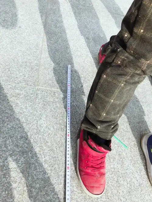 数学课外实践活动之《一百米有多长》