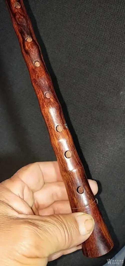 534号正宗海南黄花梨唢呐杆长28cm.