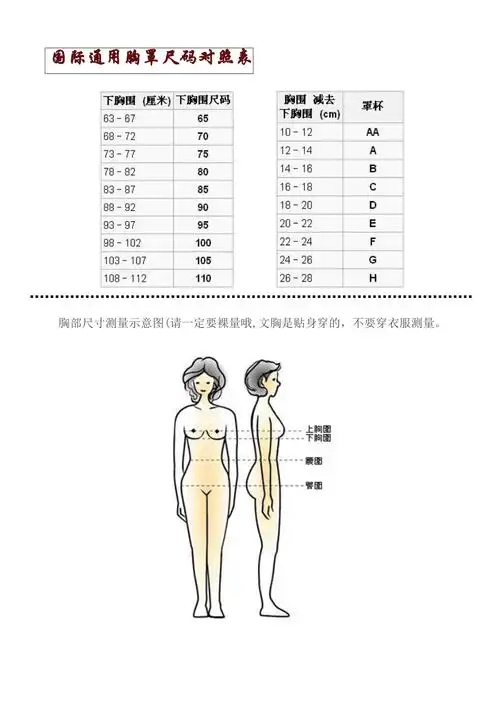 国际通用胸罩尺码对照表及其他