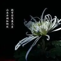 亲人离世伤感说说配图_微信头像图片大全