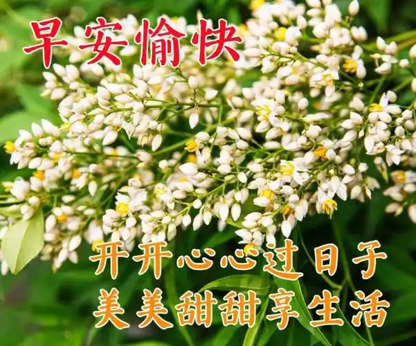 7张清新漂亮的早安早上好图片带祝福语 秋日清晨早安问候祝福语大全