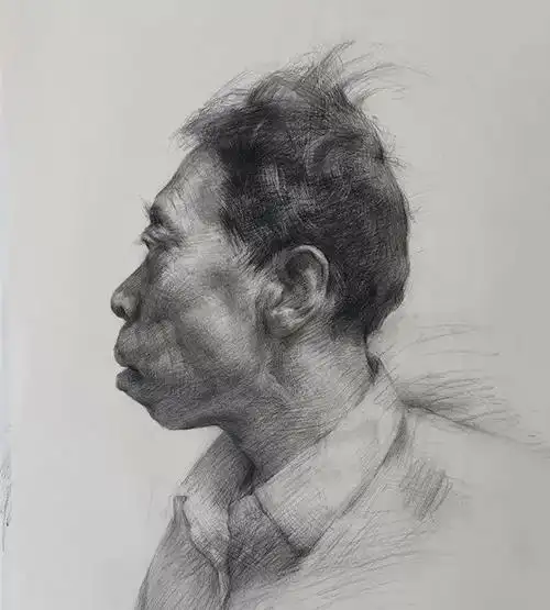 素描头像的透视关系究竟该怎样建立?