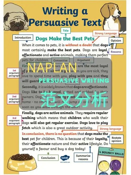 naplan范文分析汉堡式写作法