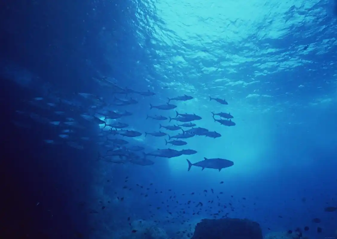 人类不敢去探索的两大禁区,发生很多人类无法解释的事件