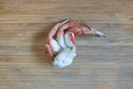 螃蟹腿的顶视图照片