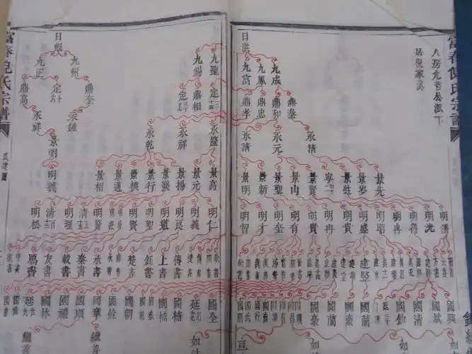 家谱文化交流践行族谱数据化价值初探