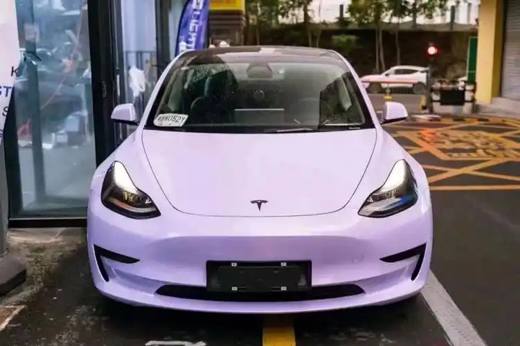 稀有颜色星黛紫上车特斯拉model3效果