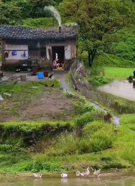 这就是真实的农村一侧景象!