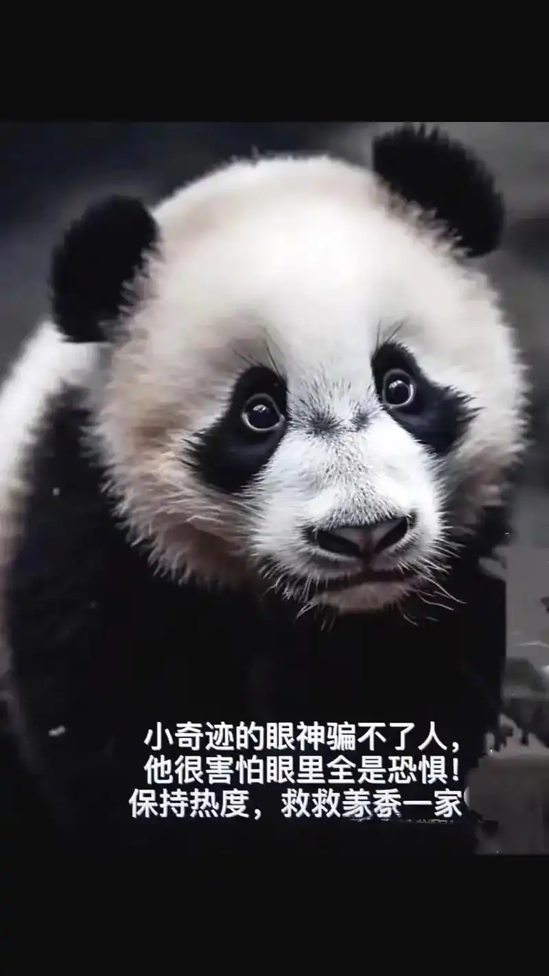 #图文伙伴计划 崽崽恐惧的眼神,美香痛苦的呻吟,添添红肿的身 - 抖音