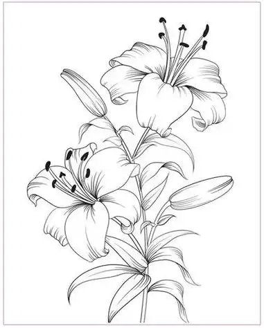 绘画教程|百合花折纸百合花教案格式折纸花卉折法裁剪花朵格式飞乐鸟