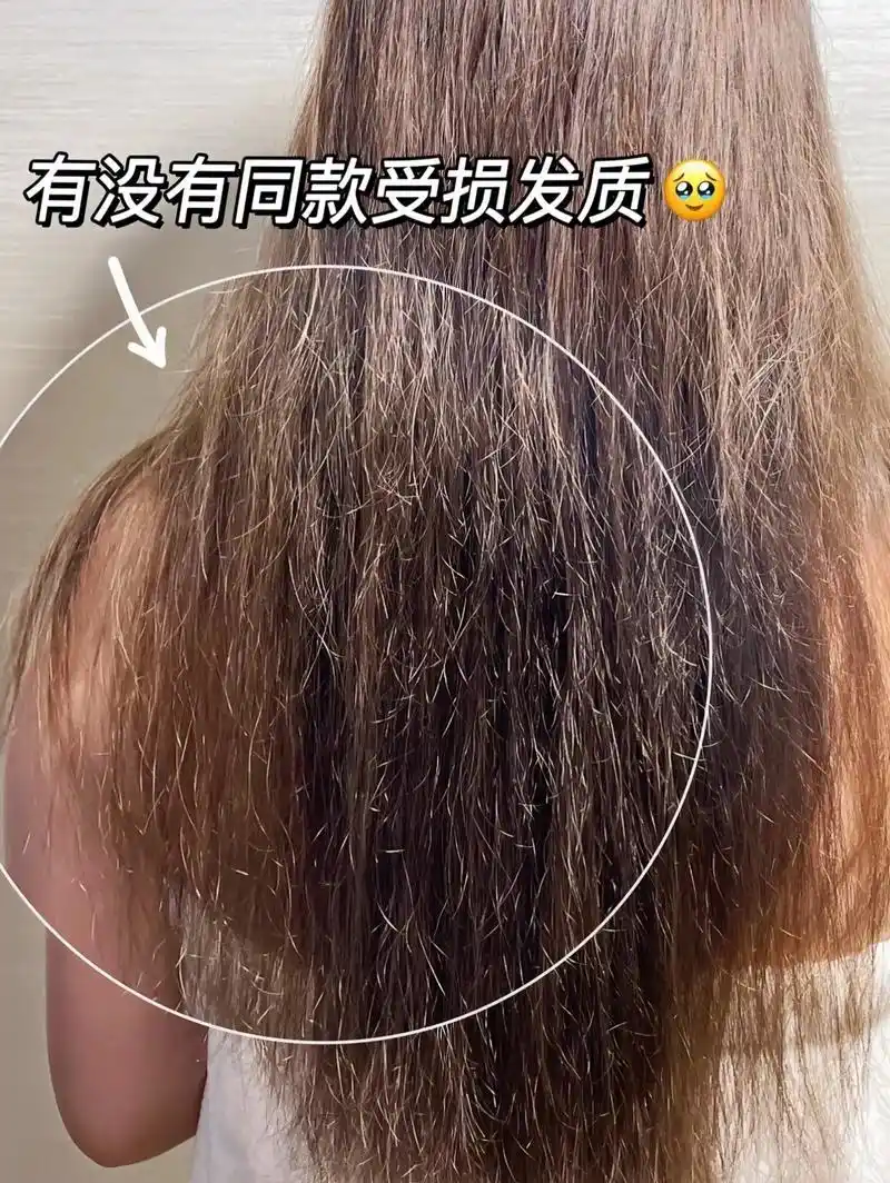 平时当你烫染完头发干枯又毛躁分叉还爱打结!快来试试这 - 抖音