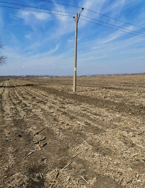 黑龙江哈尔滨市道外区民主乡光明村20亩蔬菜粮油地出售- 聚土网