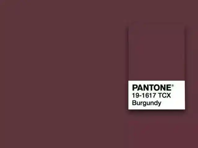 颜色范围里姨妈色在 pantone 中有标准的色卡,就叫做 burgundy 勃垦