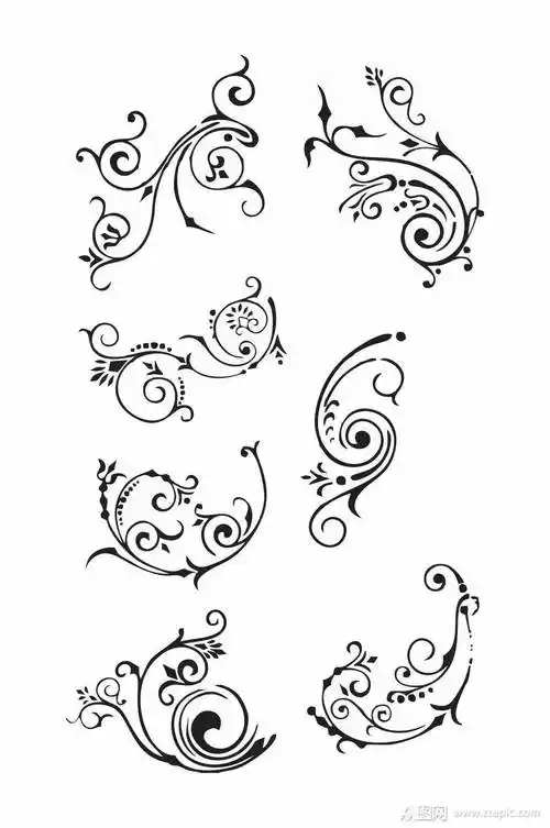 装饰元素黑白线条高档矢量