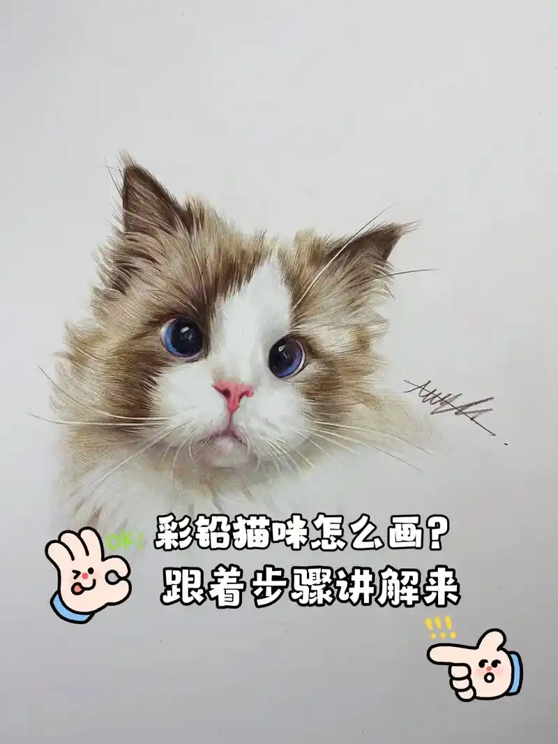 布偶猫彩铅绘画.#画画 #手绘 #绘画 #彩铅 #艺术 - 抖音