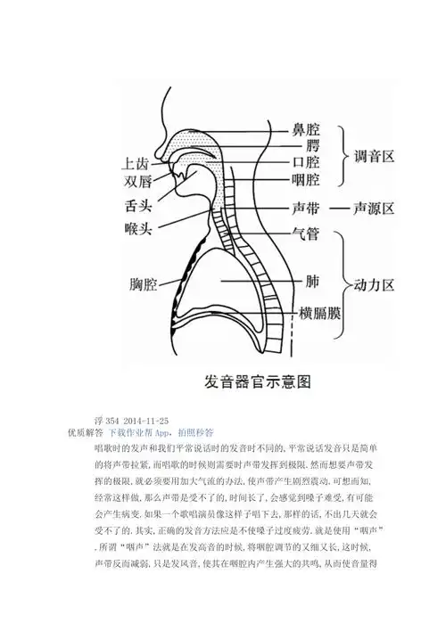 人体的发音器官是如何发声的