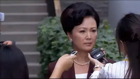 女董事长接受记者采访,康林要出面帮忙解释,不料董事长不领情-电视剧