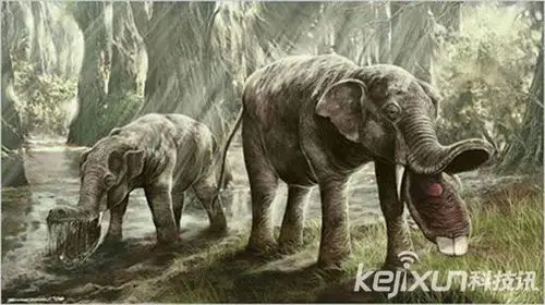 寻找血亲:盘点现代动物的远古史前生物祖先