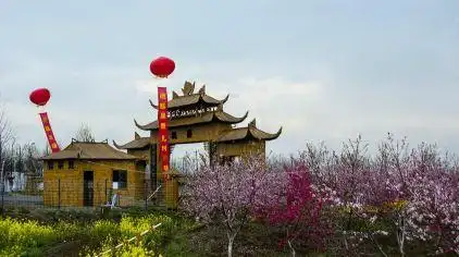 三十岗桃蹊农场