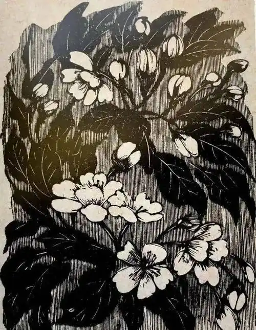 黄永玉木刻版画作品欣赏