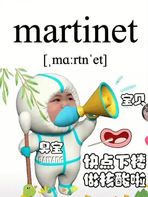释义:if you say that someone is a martinet, you are criticizing