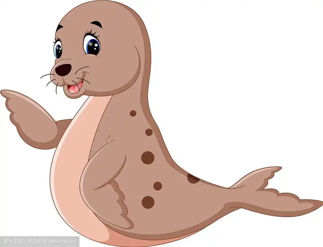 卡通可爱的海豹