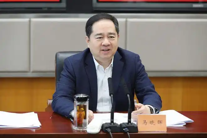 马晓晖发挥审计监督的尖兵和利剑作用更好地服务保障湖州高质量赶超