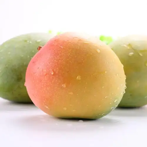 新鲜芒果 三亚澳芒_新鲜芒果 三亚澳芒折扣优惠券