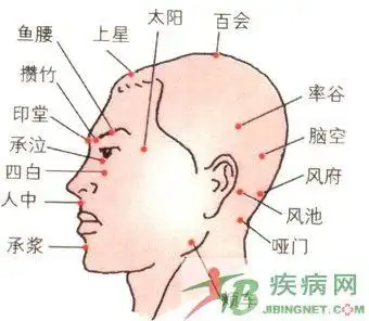 头部穴位及作用