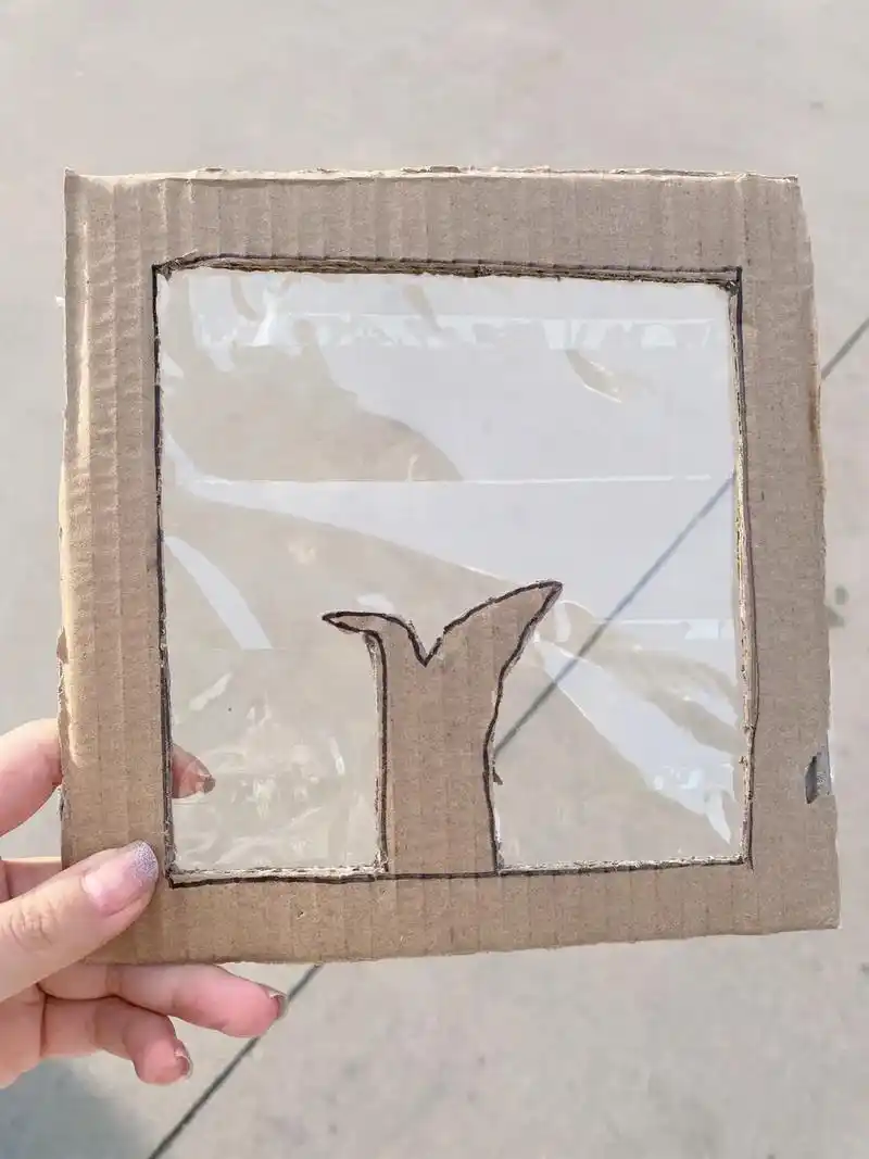 自制纸壳相框收集花朵