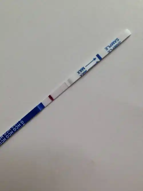 p>早孕测试纸是一种可以检验女性是否怀孕的工具.