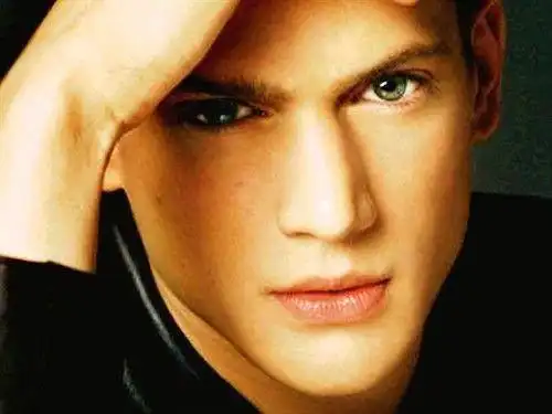 《越狱》男主角温特沃斯·米勒出柜!米帅是gay让女粉无法接受!