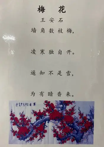 了解了植物过冬的方式,然后我们学习了古诗《梅花》并带着孩子们做