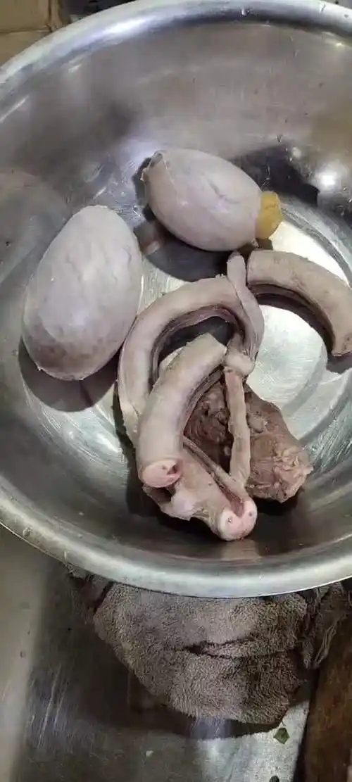 牛鞭3斤 桃李旺 新鲜牛鞭 生鲜非两蛋 男用现杀 黄牛鞭牛三宝牛宝牛蛋