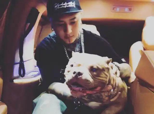 石家庄磊哥4v20原视频石家庄磊哥裕华高速路口事件