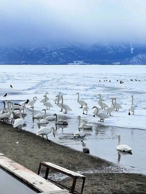 北海道小众旅游阿寒湖国立公园屈斜路湖