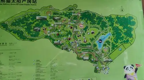 成都熊猫基地游记