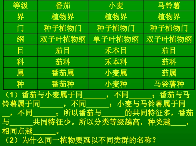 第三节常见的植物第三课时下载-科学-21世纪教育网