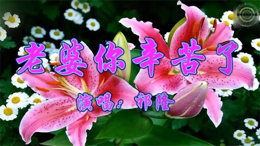 《老婆你辛苦了》好听醉了,送给老婆,我爱你