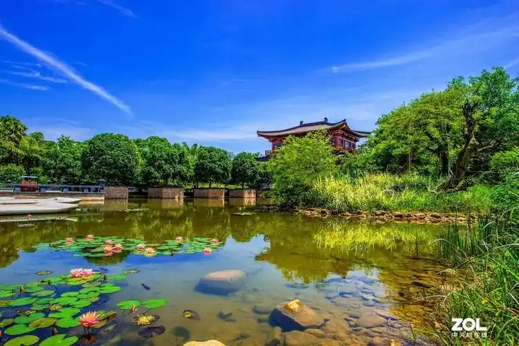 公园园博园风光风景记实拍摄续