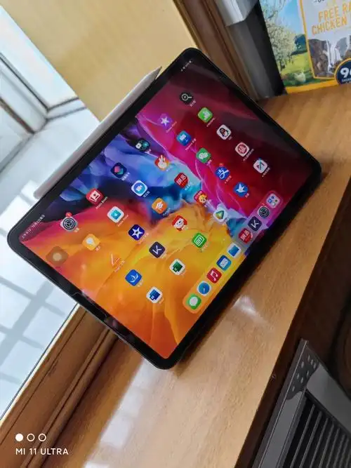 廉颇老矣ipadpro2020