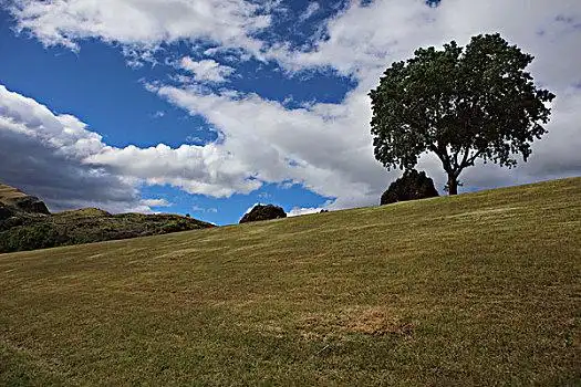 草坡图片_草坡图片大全_草坡图片素材