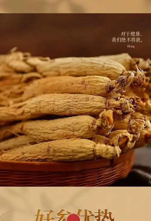 长白山人参泡酒药材生晒参白参野山参煲汤 5只装【40克】【图片 价格