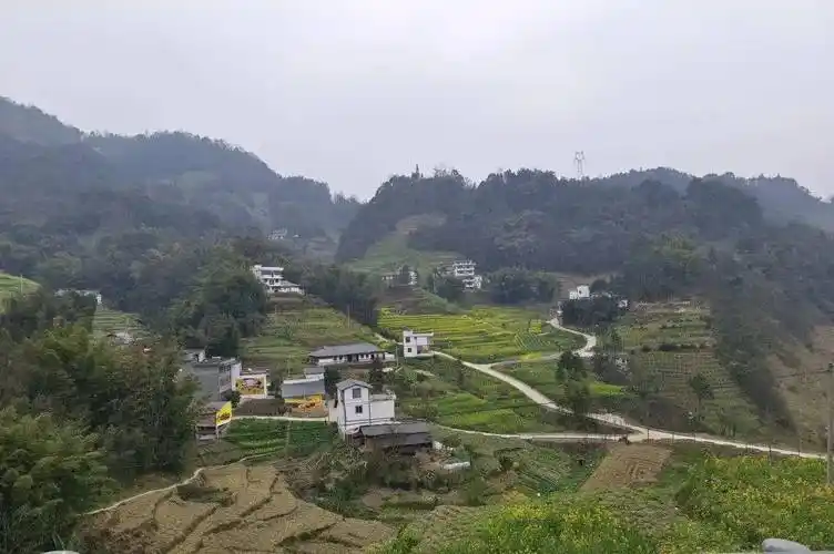 产业蜕变引领乡村建设发展——中和镇赵溪村双窨自然村农旅融合发展